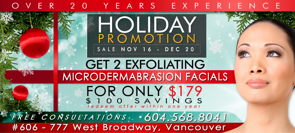 Christmas Holiday Promotion 2013